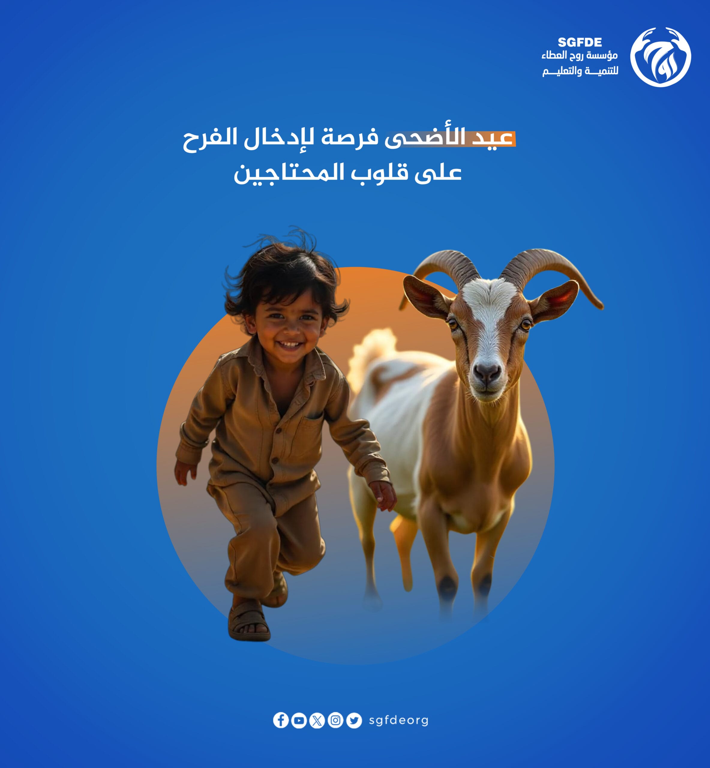 مشاريع توزيع الأضاحي