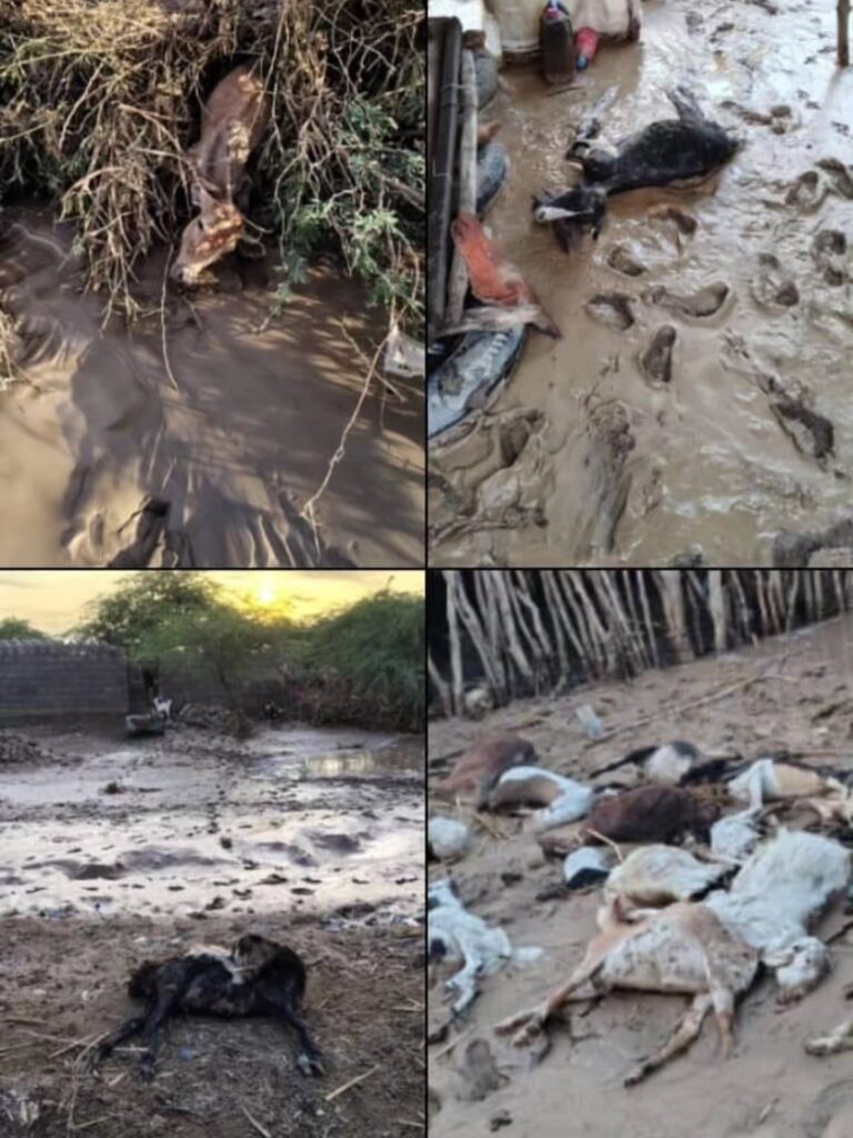 سيول عنيفة اجتاحت مديريات (المخا – موزع – الوازعية)، لتترك وراءها مشهدًا إنسانيًا قاسيًا ..